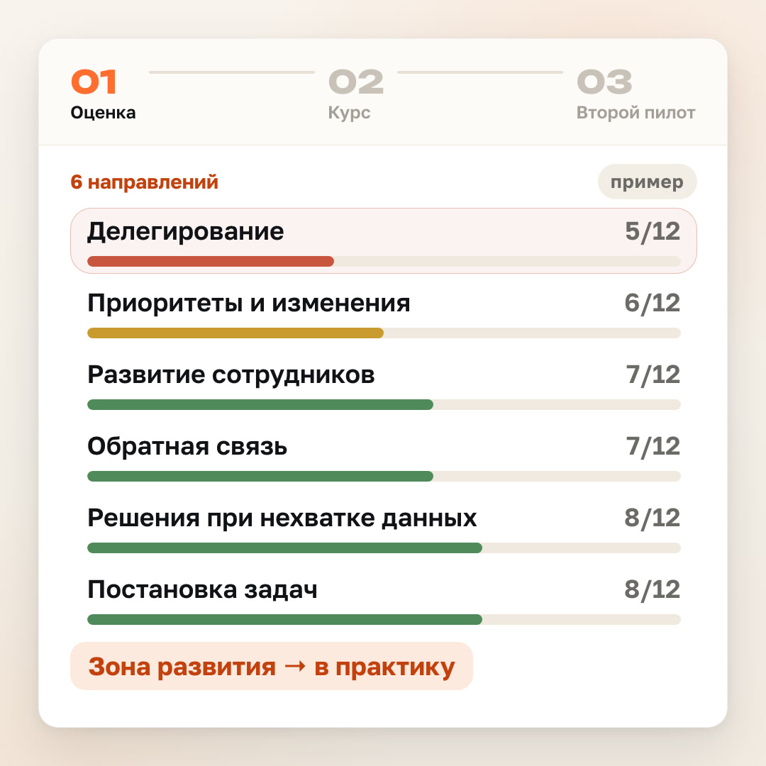 Пример: шесть направлений оценки со шкалами